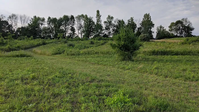 Gardner Hill Campground 9