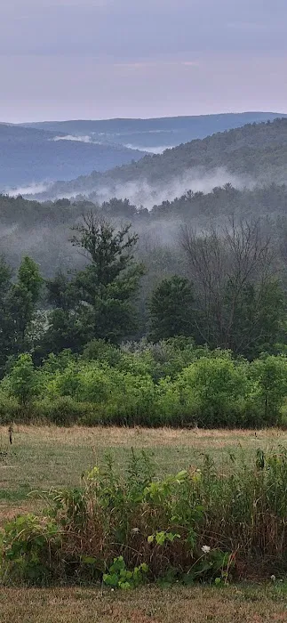 Gardner Hill Campground 5