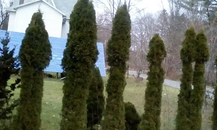 Hillview Mobile Home Park 0