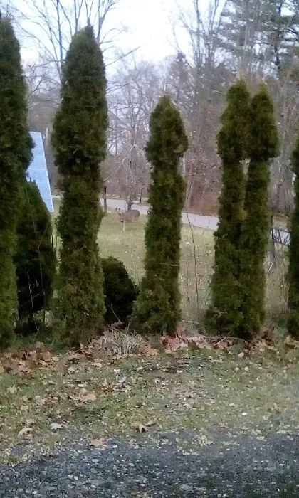 Hillview Mobile Home Park 1