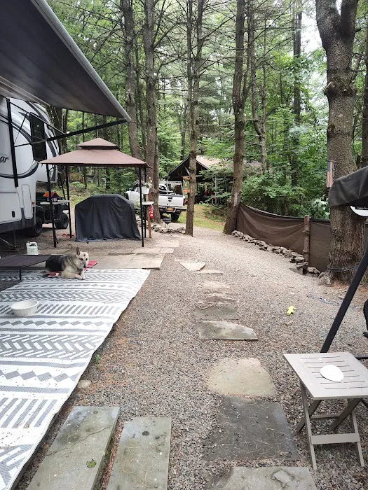 Aspen Campground 8