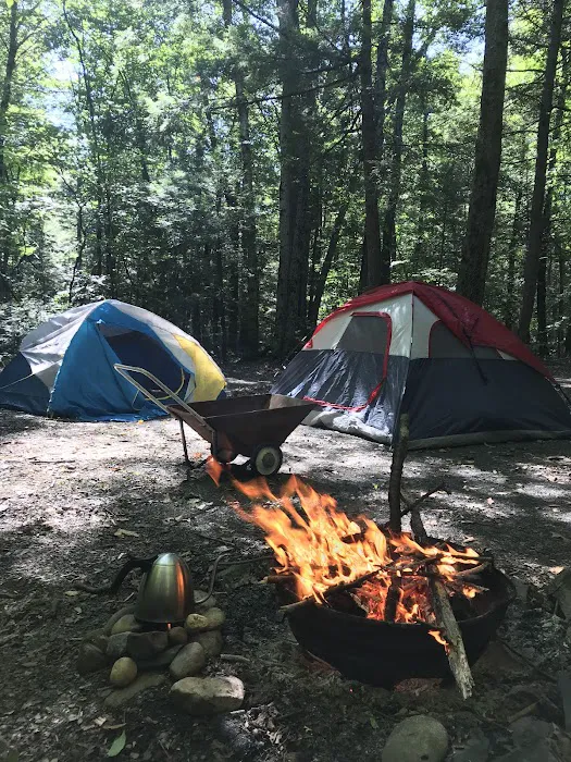 White Birch Campground 5