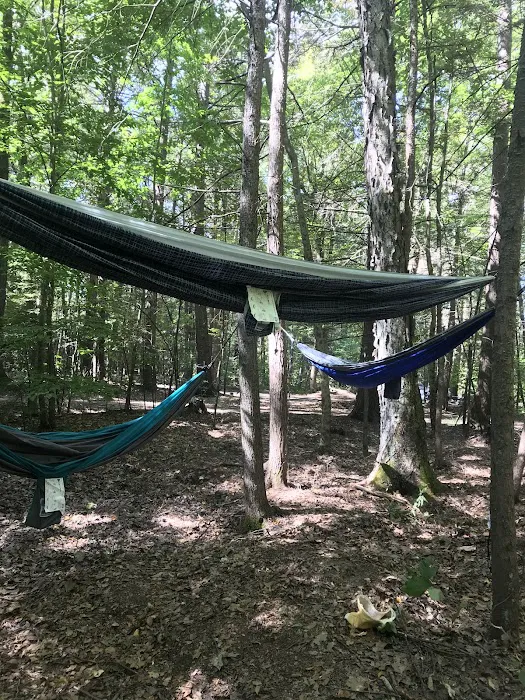 White Birch Campground 8