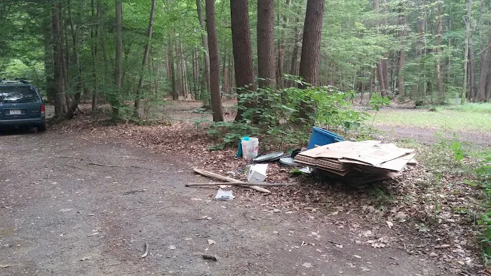 White Birch Campground 6
