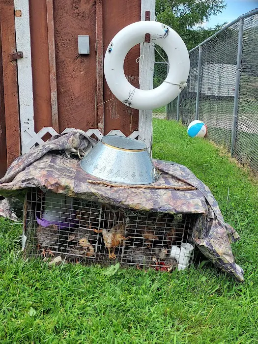 White Birch Campground 3