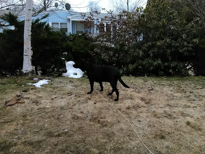 Heritage Association, Inc. 9