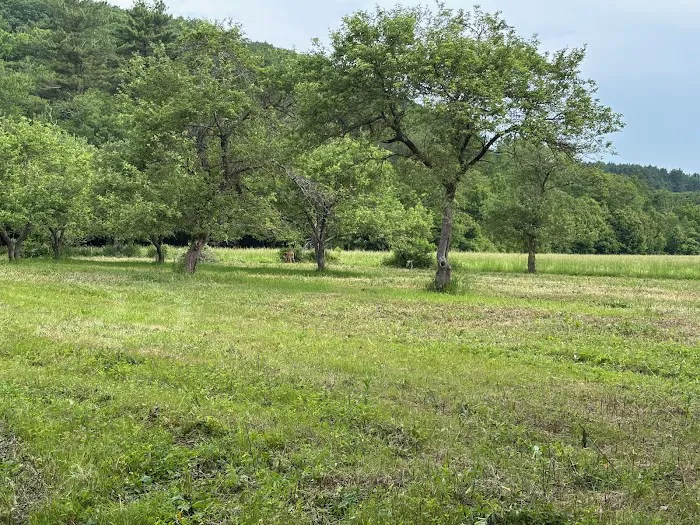 Naultaug Valley Farm LLC 1