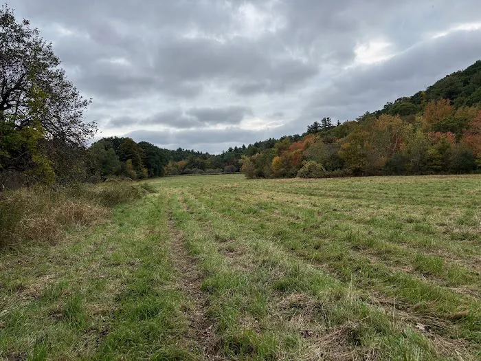 Naultaug Valley Farm LLC 0