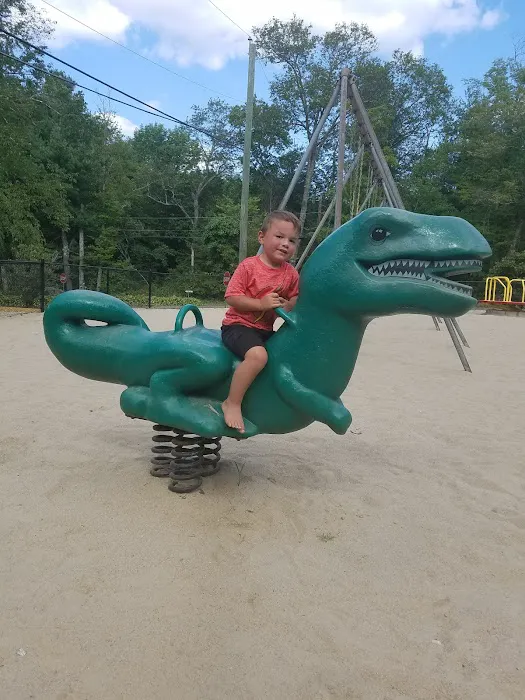 Roaring Brook Co-Op Camp 8