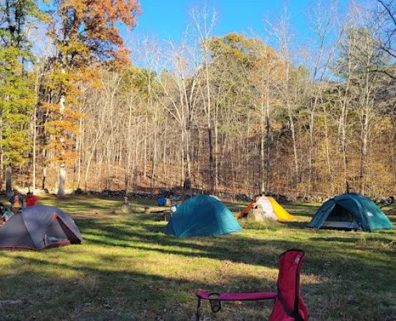 JN Webster Perregaux Cabin