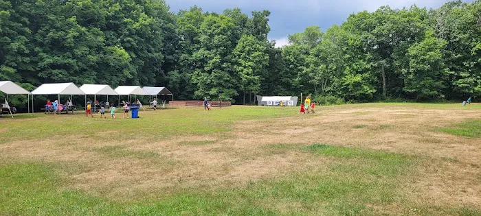 JN Webster Perregaux Cabin 6