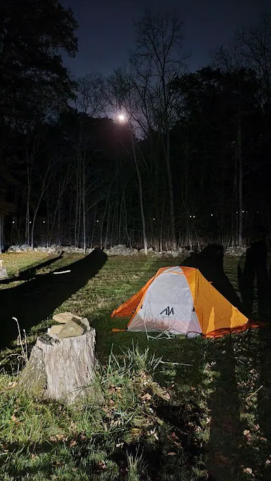 JN Webster Perregaux Cabin 2