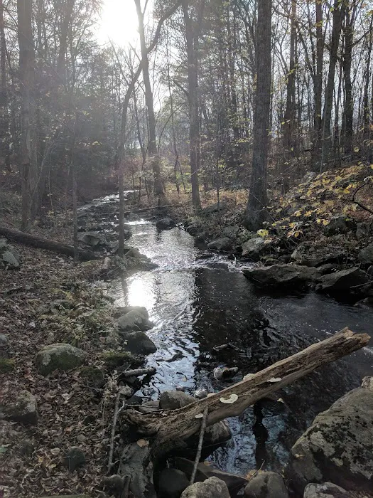 JN Webster Perregaux Cabin 1