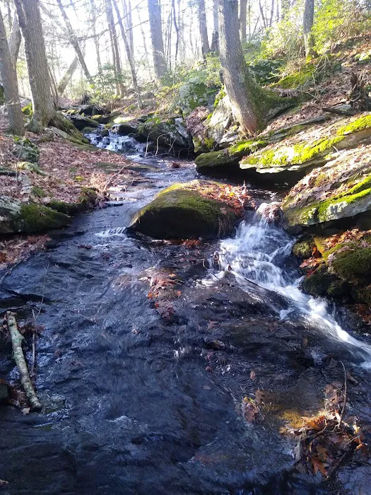 JN Webster Perregaux Cabin 9