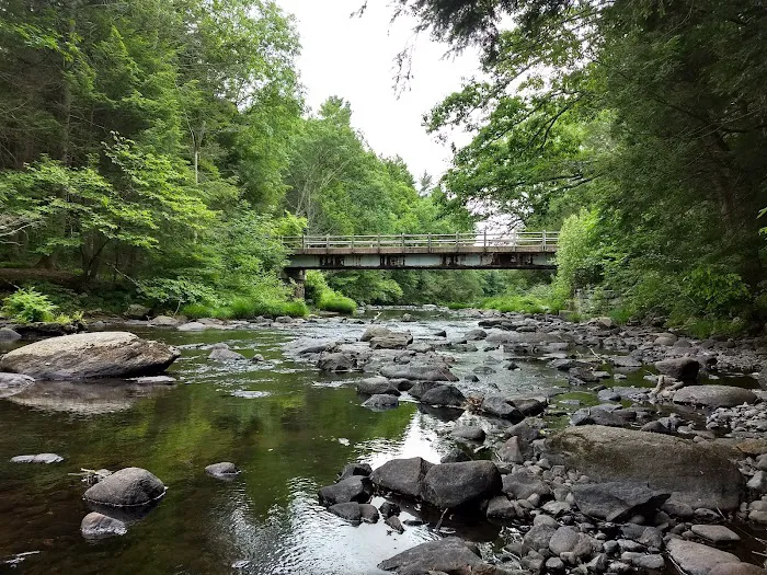 Charlie Brown Campground 2