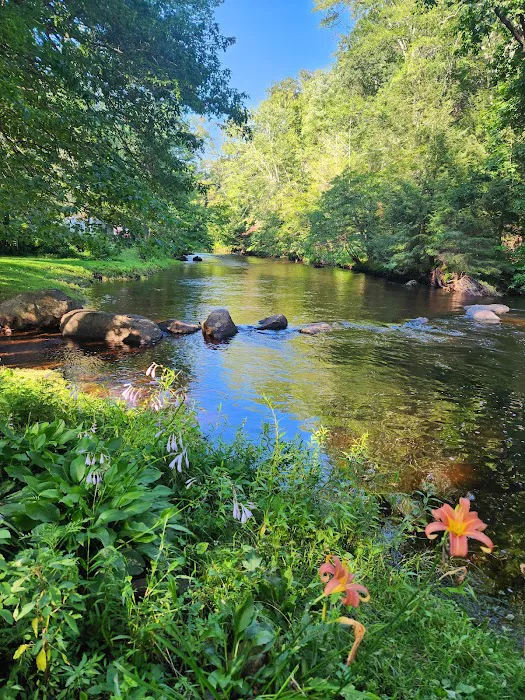 Peppertree Campground 4