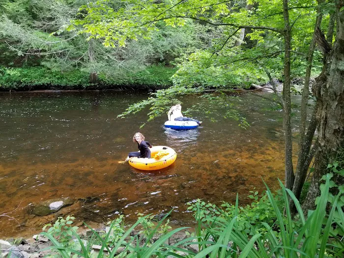 Peppertree Campground 8