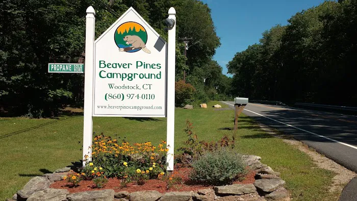 Beaver Pines Campground 4