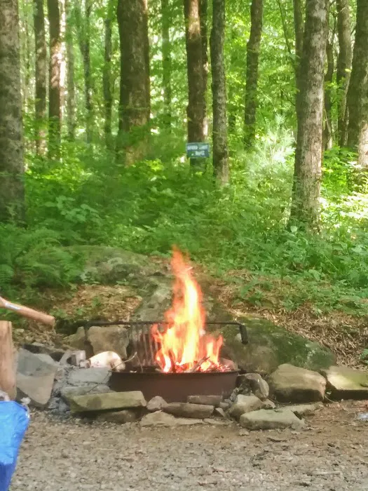 Beaver Pines Campground 0