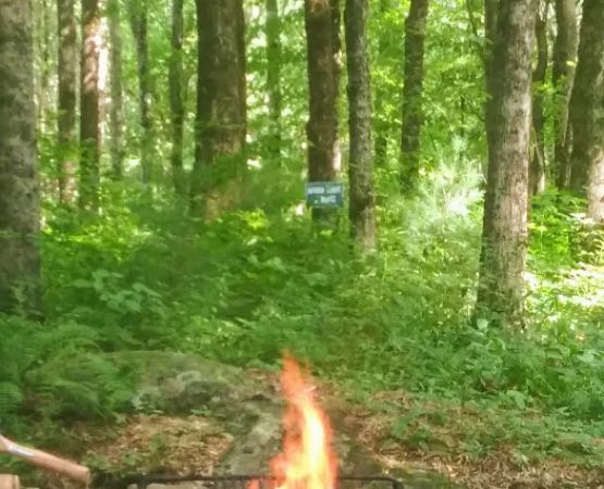 Beaver Pines Campground