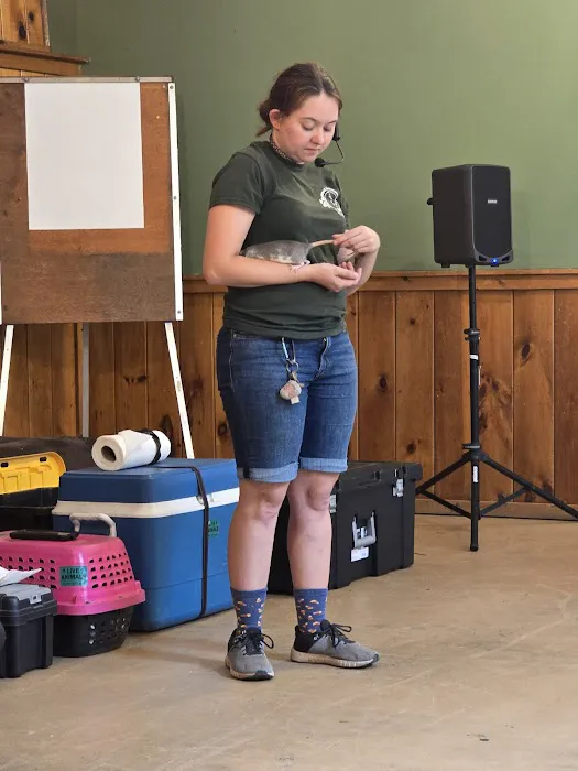 Quinebaug Cove Campground 6