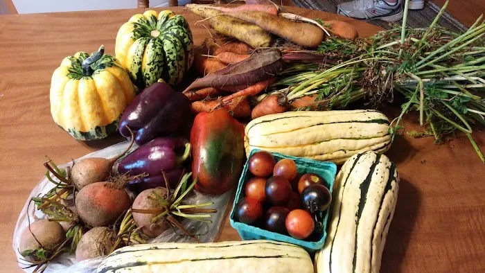 Nanatomqua Cooperative Corporation 3