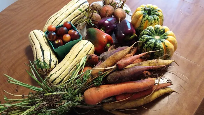 Nanatomqua Cooperative Corporation 4