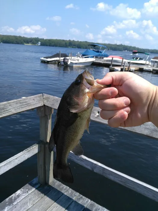 Indianfield Co-Op Campground 5