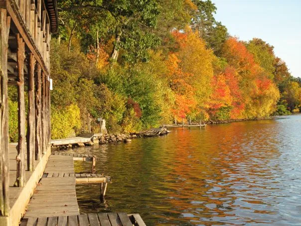 Pequot Ledge Campground 8