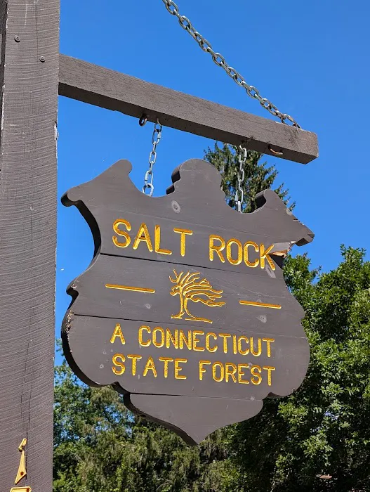 Salt Rock State Campground 3