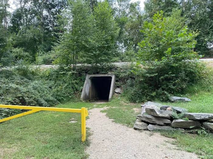 Salt Rock State Campground 6