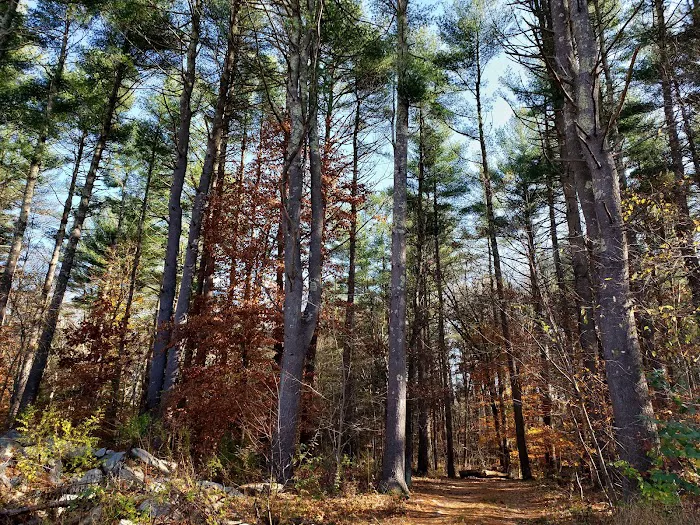 Salt Rock State Campground 5