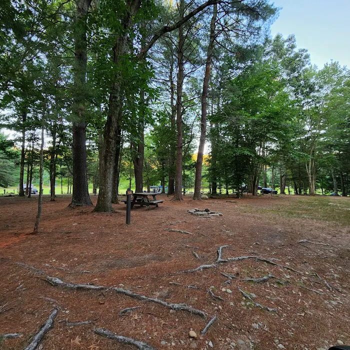 Salt Rock State Campground 8