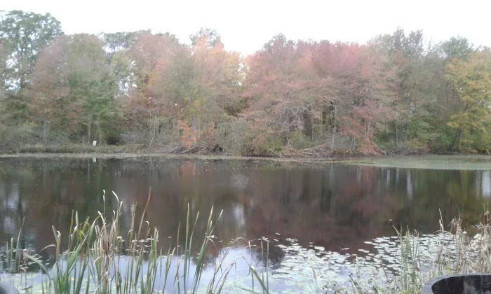 Sunny Waters Mobile Home Park 1