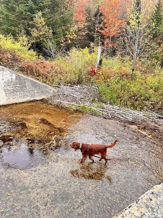 Savoy Mountain State Forest Campground 0
