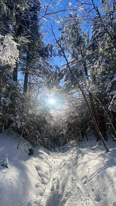 Savoy Mountain State Forest Campground 3