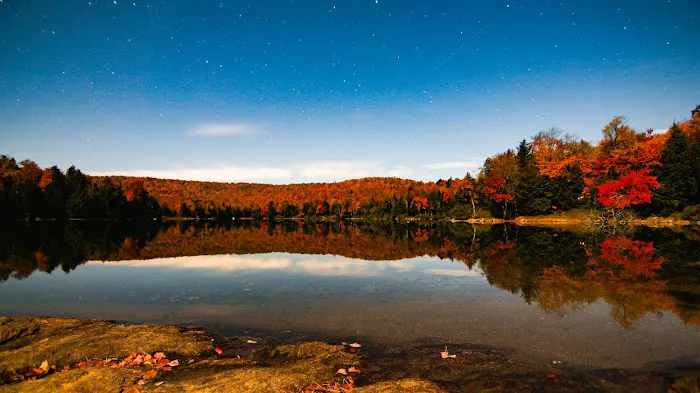 Savoy Mountain State Forest Campground 6