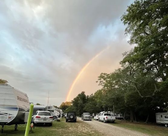 Village of Greenport Mccann