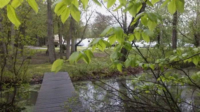 Village of Greenport Mccann 3