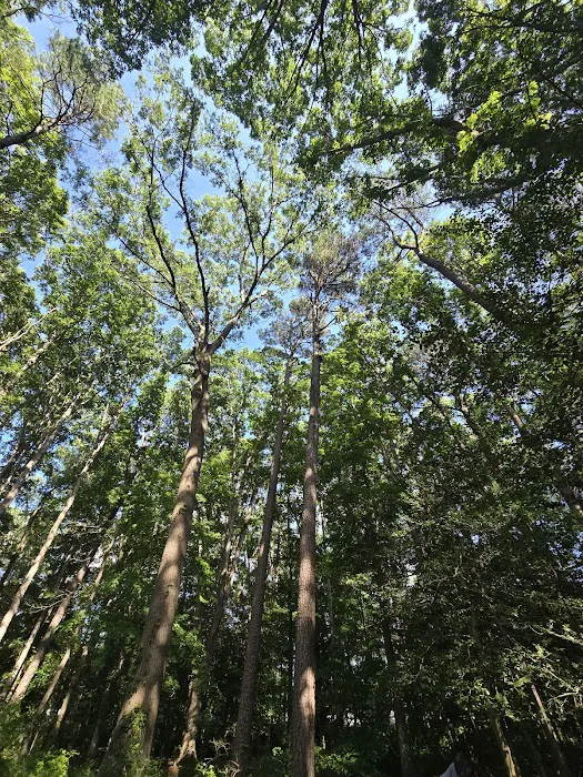 Woodlawn Campground 8