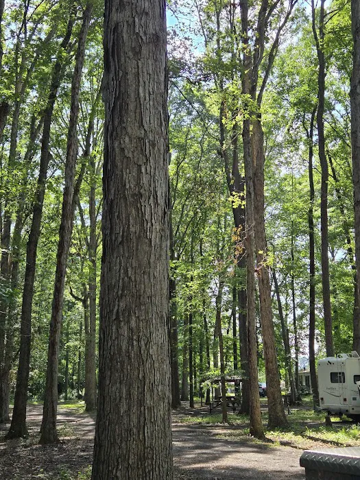 Woodlawn Campground 7