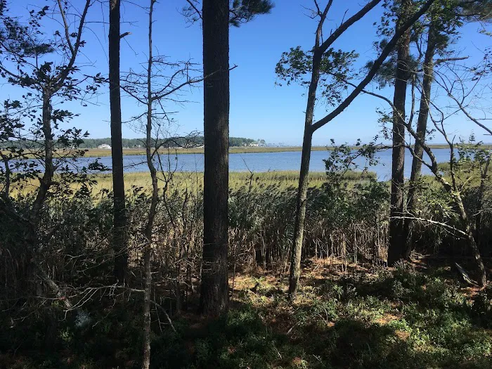 Lighthouse Beach RV Resort 6