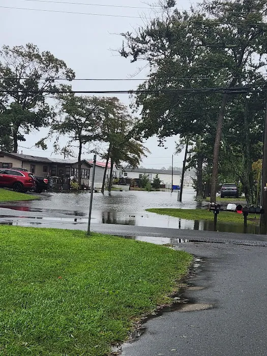 Bay City Mobile Home Park 1