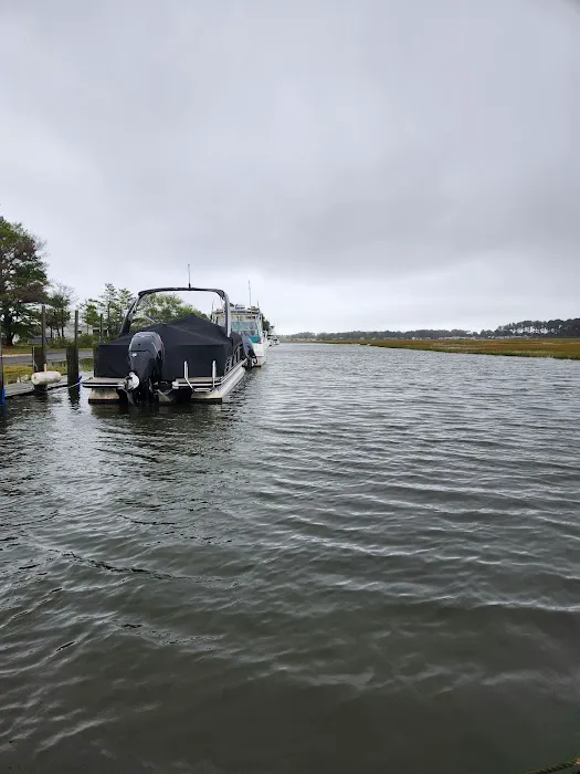 Bay City Mobile Home Park 0