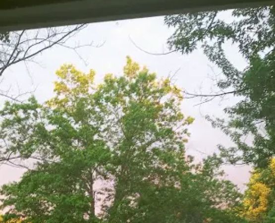 Boone's Mobile Estates Inc