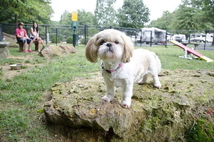 Washington DC / Capitol KOA Holiday 9