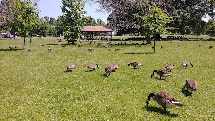 Burba Lake Cottage 1