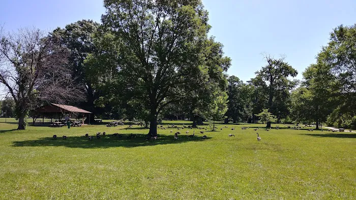 Burba Lake Cottage 7