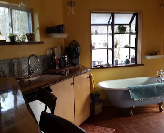 Climbing Vine Cottage