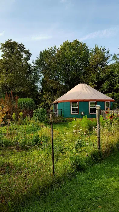 Climbing Vine Cottage 2